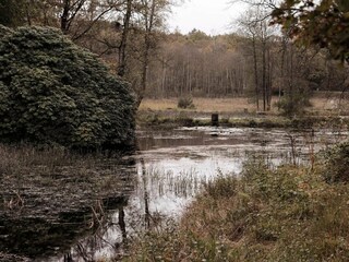 Vakantiehuis Hovborg  15