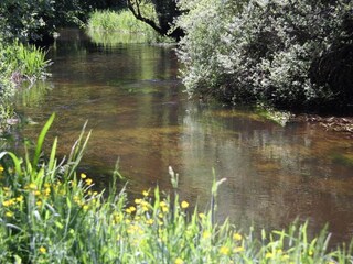 Casa de vacaciones Hovborg  36