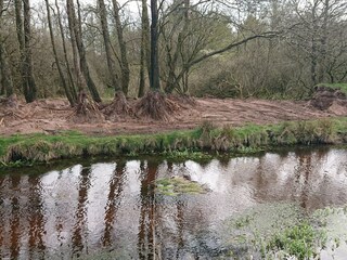 Vakantiehuis Hovborg  19