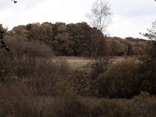 Maison de vacances Hovborg  21