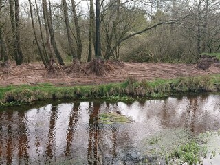 Maison de vacances Hovborg  23