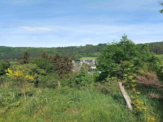 Apartment Winterberg Environment 20