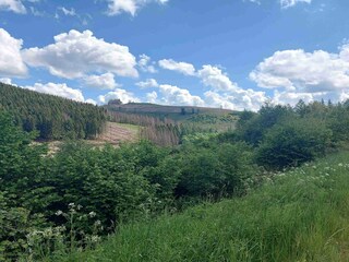 Apartment Winterberg Environment 31