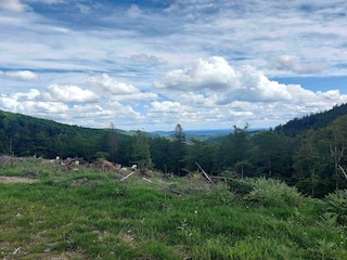 Apartment Winterberg Environment 25