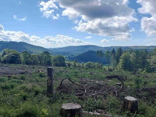 Appartement Winterberg Omgeving 33