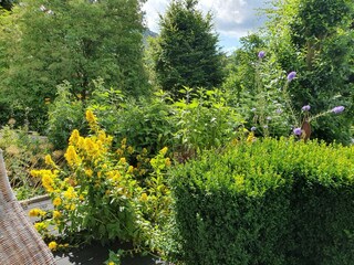 Appartement Winterberg Buitenaudio-opname 2