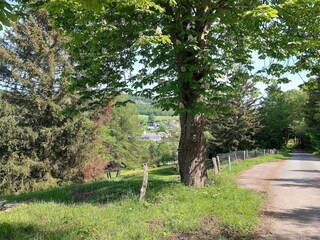 Apartment Winterberg Environment 23