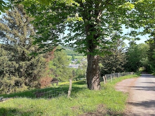 Apartment Winterberg Environment 26