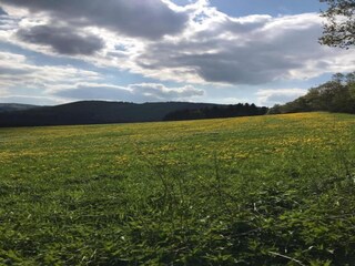 Appartement Winterberg Omgeving 33