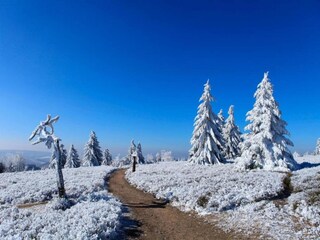 Apartment Winterberg Environment 23