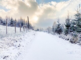 Appartement Winterberg Environnement 40