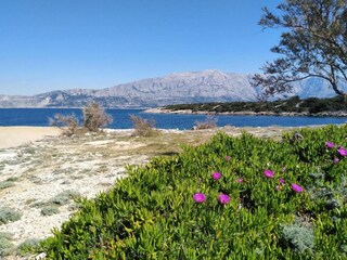 Apartment Povlja Umgebung 25