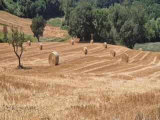 Vakantiehuis San Vittore Omgeving 33