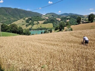 Vakantiehuis San Vittore Omgeving 31