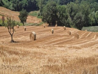 Ferienhaus San Vittore Umgebung 25