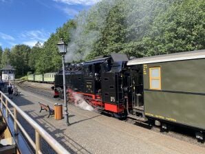 Ferienhaus Bimmelbahn Gleis 2 - Olbersdorf - image1