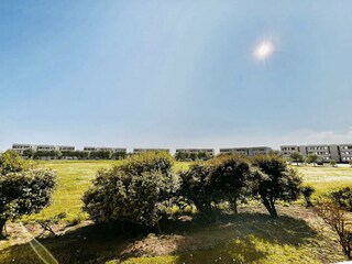 Blick von der Terrasse auf die große Wiese der Anlage
