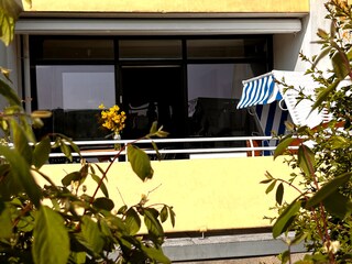 Blick von der Wiese auf die Südterrasse mit Strandkorb