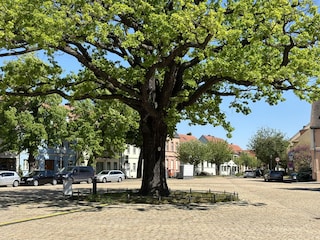 Marktplatz