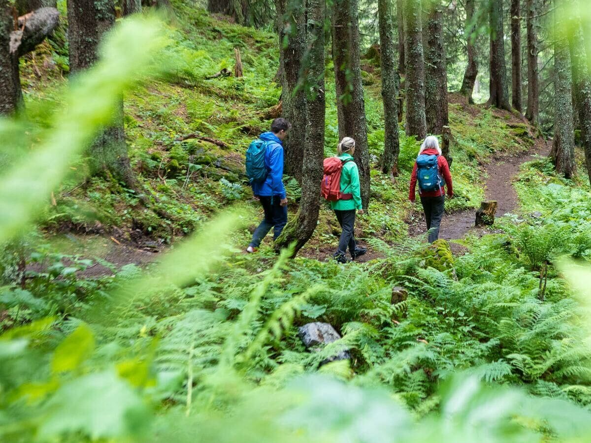 waldbaden-in-gargellen-montafon-tourismus-gmbh-ste