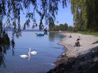 Appartamento per vacanze Sipplingen Ambiente 29