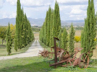 Villa Cortona Außenaufnahme 8