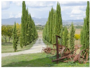 Villa Cortona Umgebung 39