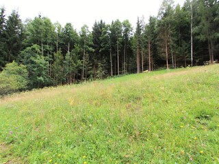 Vakantiehuis Feistritz ob Bleiburg Omgeving 26