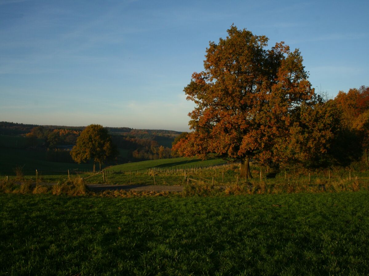 Ferienhaus Theux Umgebung 30