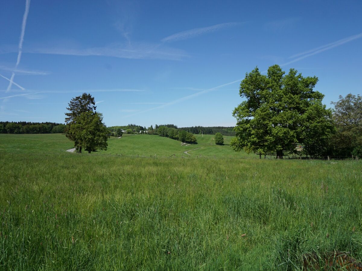 Ferienhaus Theux Umgebung 32