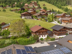 Ferienhaus Chalet Ursin - Alpbach - image1