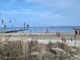 Stranddüne