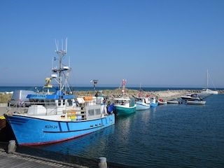 Fischerboote im Hafen