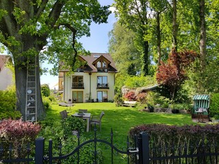 Blick auf Seeseite mit Garten und alter Eiche