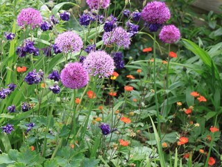 Frühlingsgarten