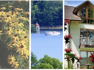 Bellevue: Seeblick auf den Teetempel