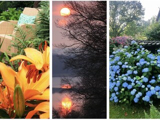 Lilien am Teich, Seeblick und Riesenhortensie