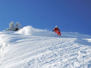 Apartment Gerlosberg Umgebung 29