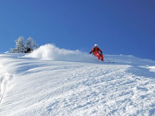 Appartement Gerlosberg Environnement 28