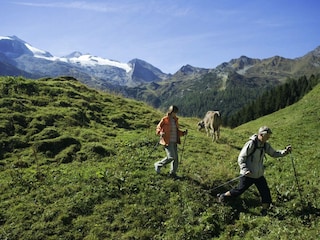 Apartment Gerlosberg Umgebung 33