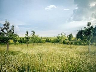 Ferienhaus Zingst Umgebung 13
