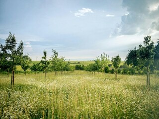 Vakantiehuis Zingst Omgeving 14