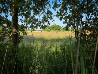 Casa per le vacanze Eastermar Ambiente 32