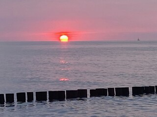 Apartamento de vacaciones Zingst Grabación al aire libre 17