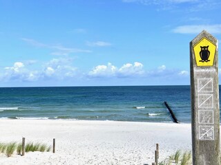 Apartamento de vacaciones Zingst Entorno 27