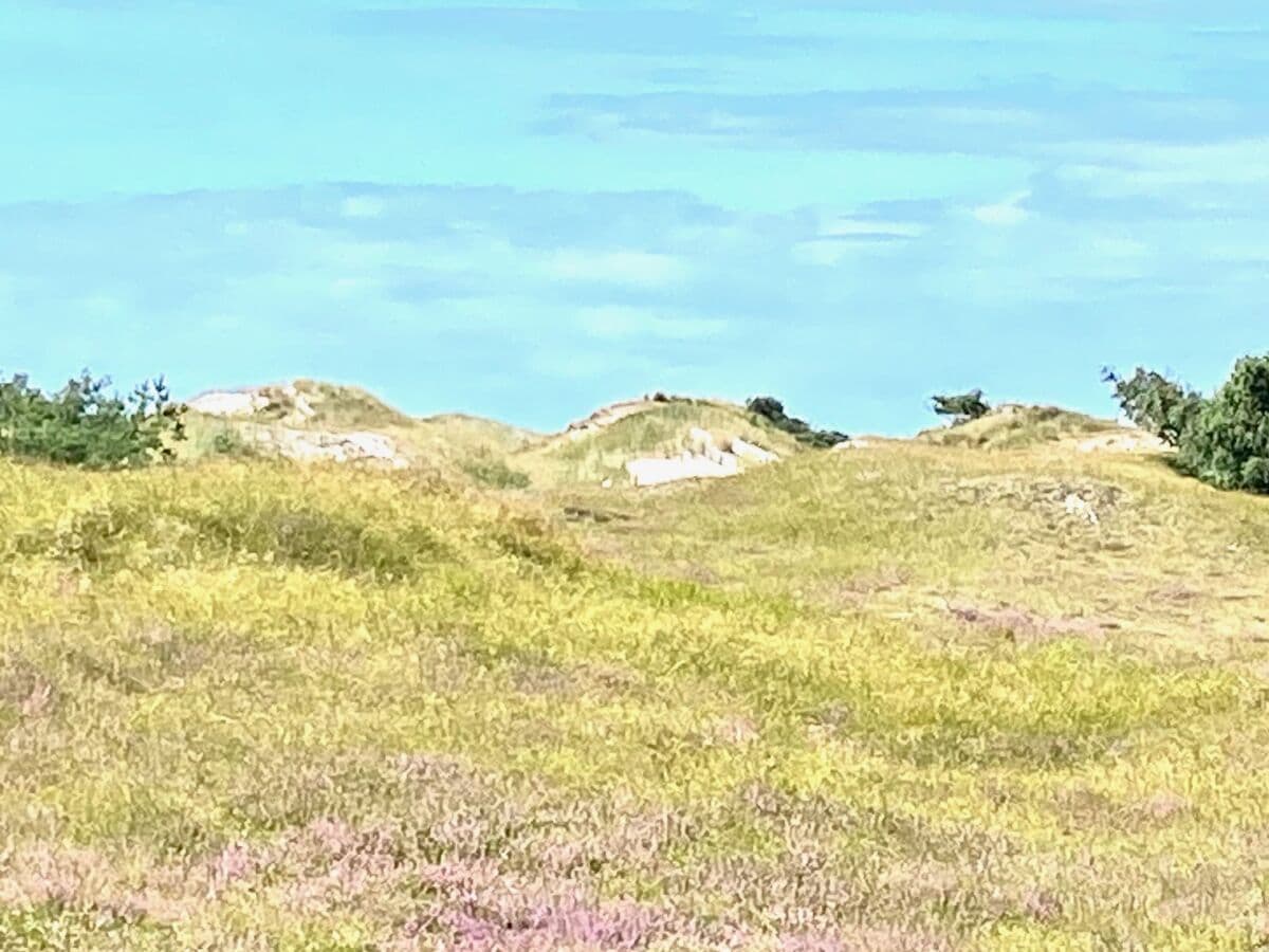 Dt. größte Dünenlandschaft