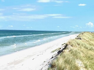 Apartamento de vacaciones Zingst Entorno 34