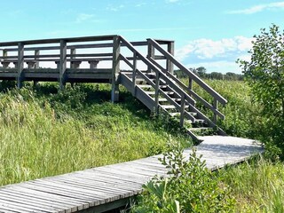 Apartamento de vacaciones Zingst Entorno 29