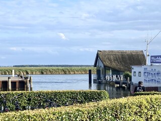 Vakantieappartement Zingst Omgeving 25