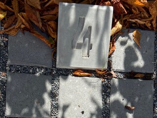 Appartamento per vacanze Zingst Registrazione all'aperto 18